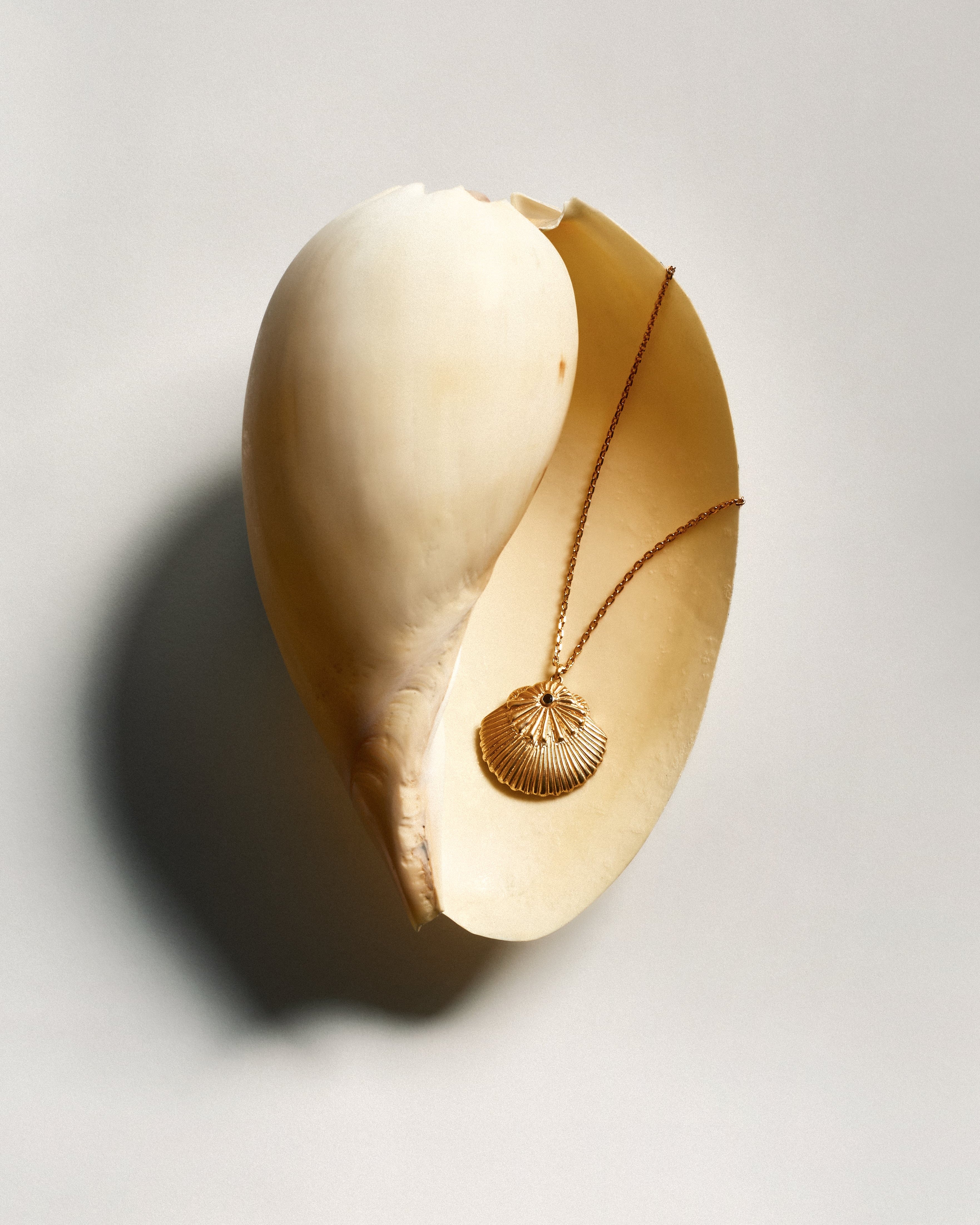 SUNRAY LONG NECKLACE
