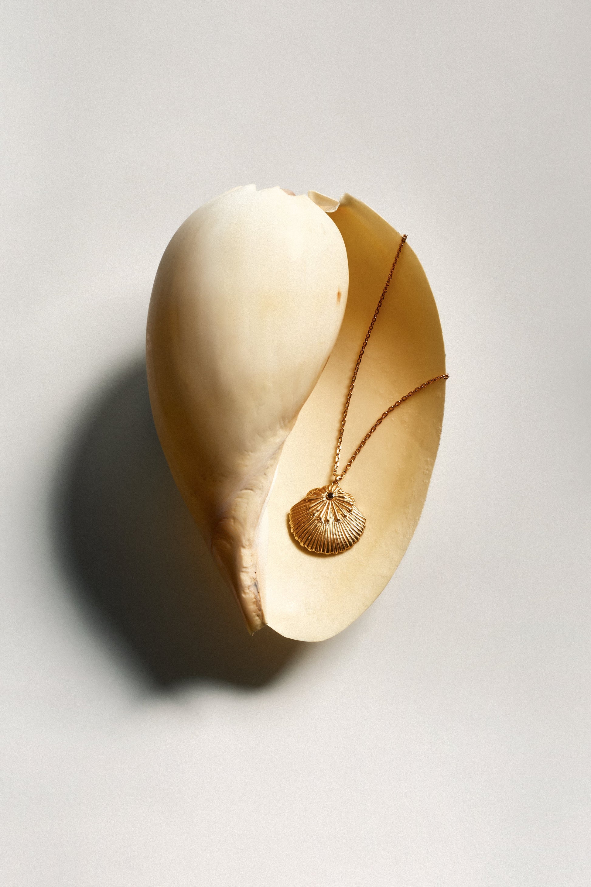 SUNRAY LONG NECKLACE